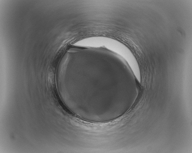 X0000115500035200911201628