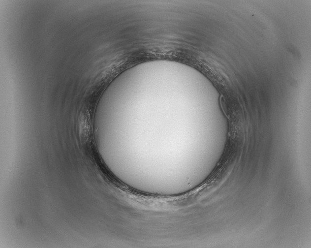 X0000115500040200911201628