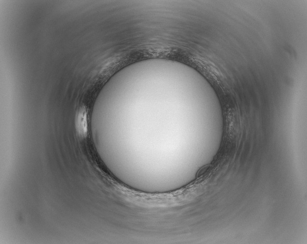 X0000115500042200911201627