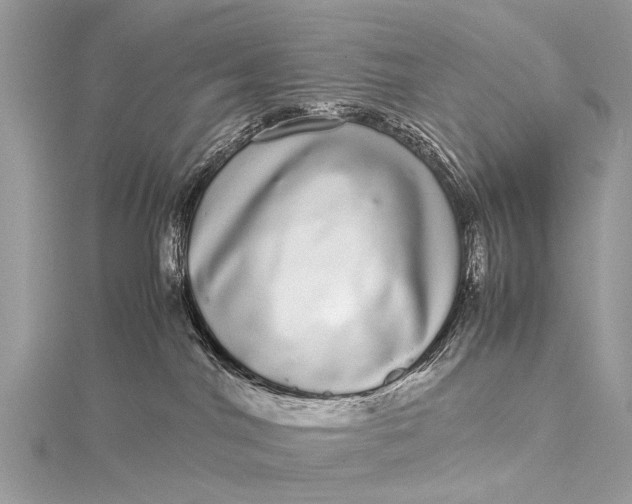 X0000115500044200911201627