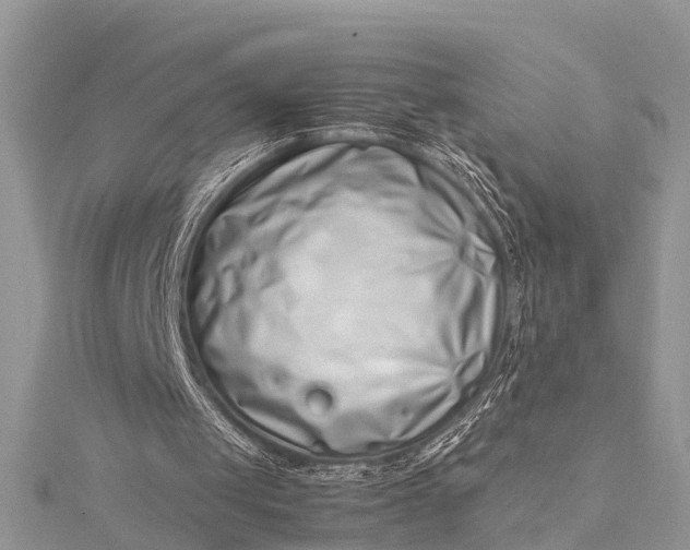 X0000115500049200911201627