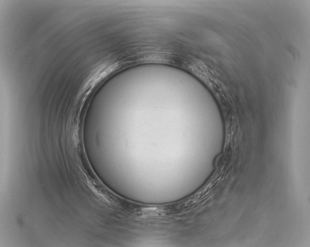 X0000115500050200911201627