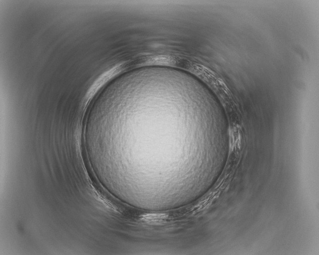 X0000115500051200911201627