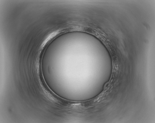 X0000115500054200911201627