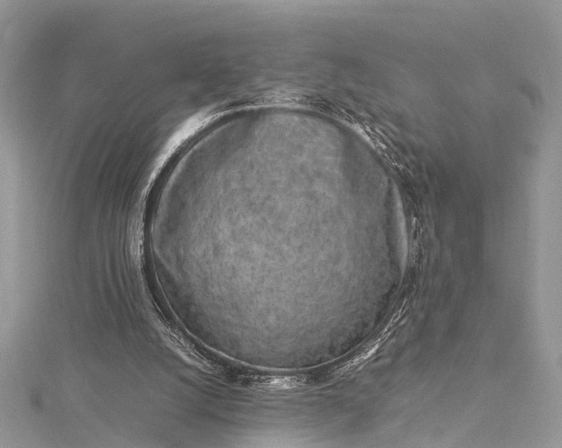 X0000115500056200911201627