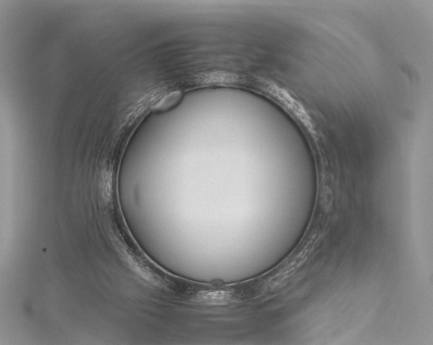 X0000115500057200911201627