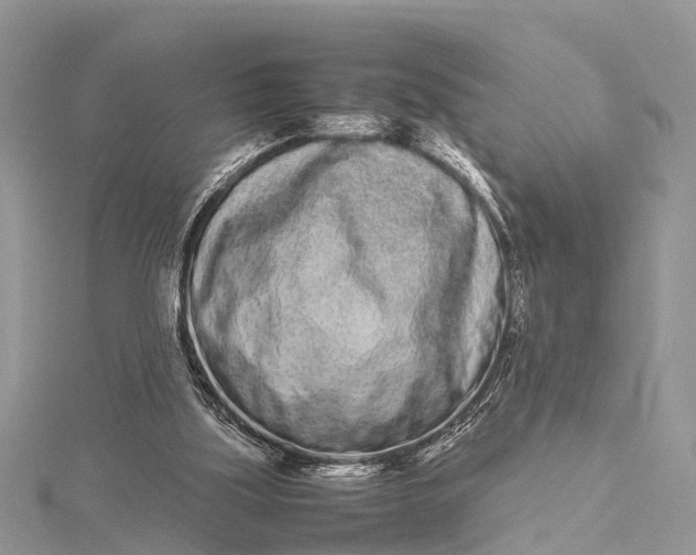 X0000115500059200911201627