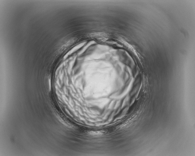 X0000115500061200911201627