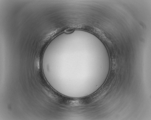 X0000115500068200911201627