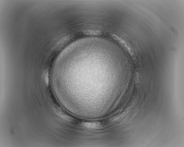 X0000115500069200911201627