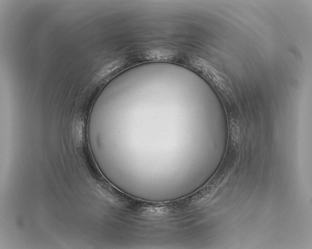 X0000115500071200911201627