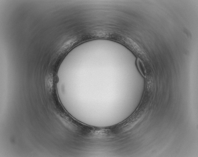 X0000115500072200911201627