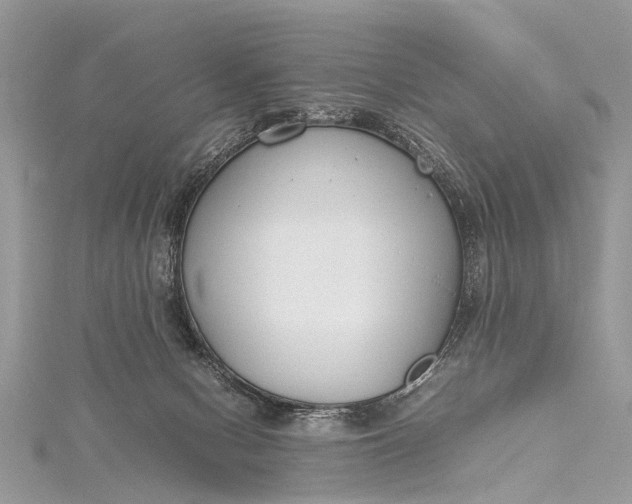 X0000115500078200911201627