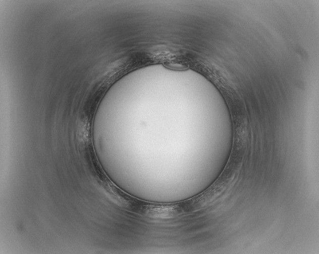 X0000115500081200911201627