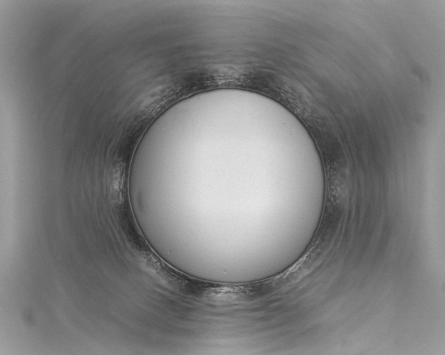 X0000115500082200911201627