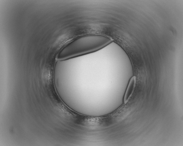 X0000115500084200911201627