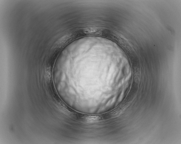 X0000115500085200911201627