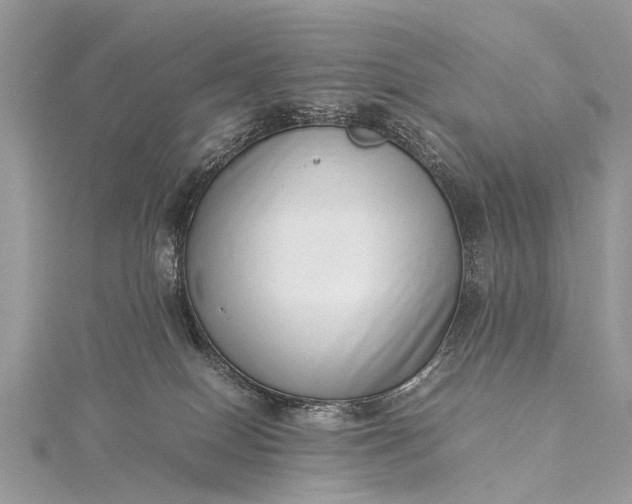 X0000115500086200911201627