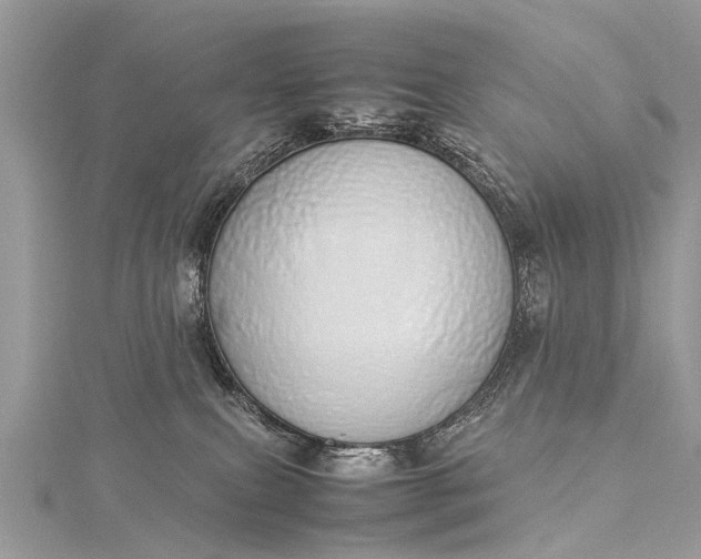 X0000115500087200911201627