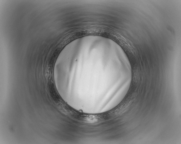 X0000115500091200911201627