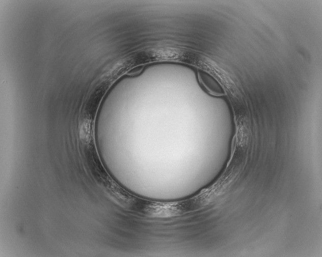 X0000115500093200911201627
