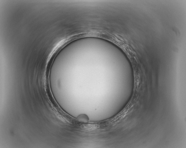 X0000115500102200911201627