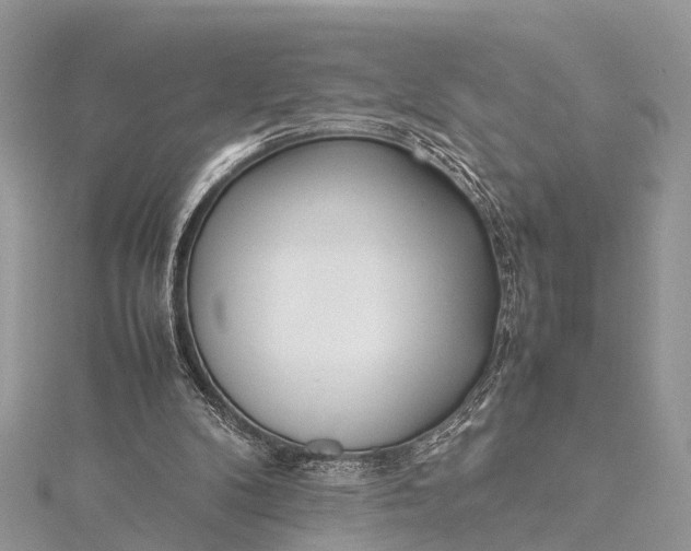 X0000115500104200911201627