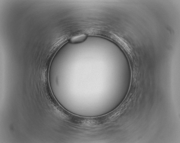 X0000115500105200911201627