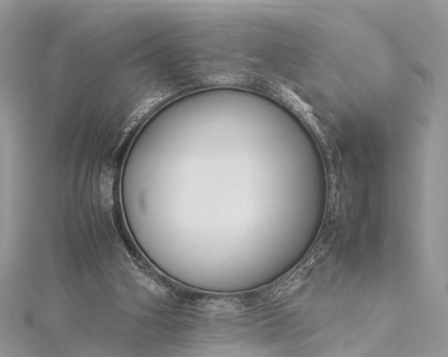 X0000115500106200911201627