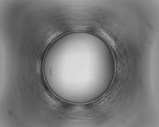 X0000115500107200911201627