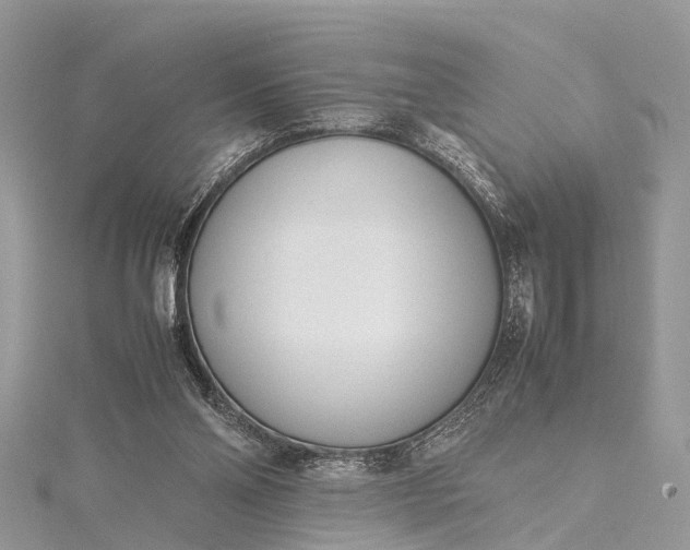 X0000115500110200911201627