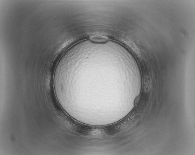 X0000115500111200911201627