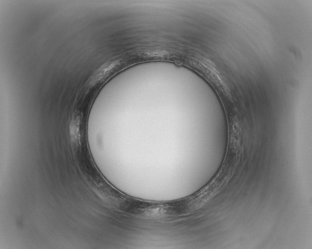 X0000115500116200911201627