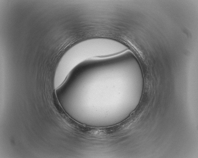 X0000115500117200911201627