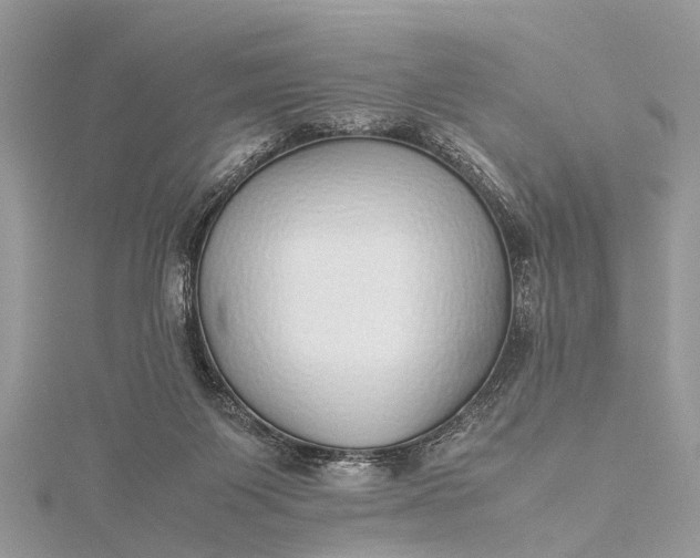 X0000115500119200911201626