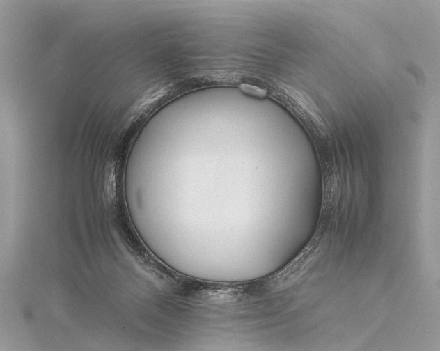 X0000115500120200911201626
