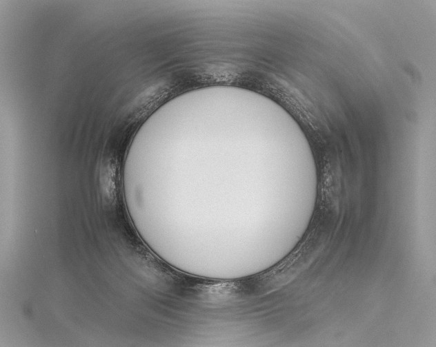 X0000115500122200911201626