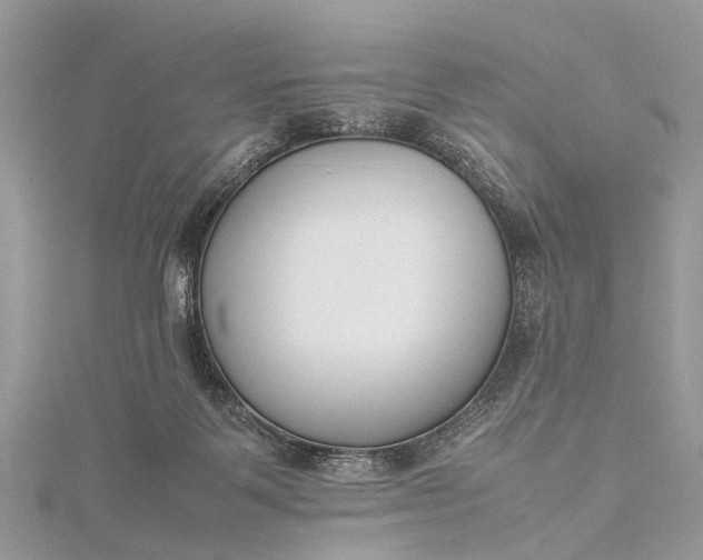 X0000115500123200911201626