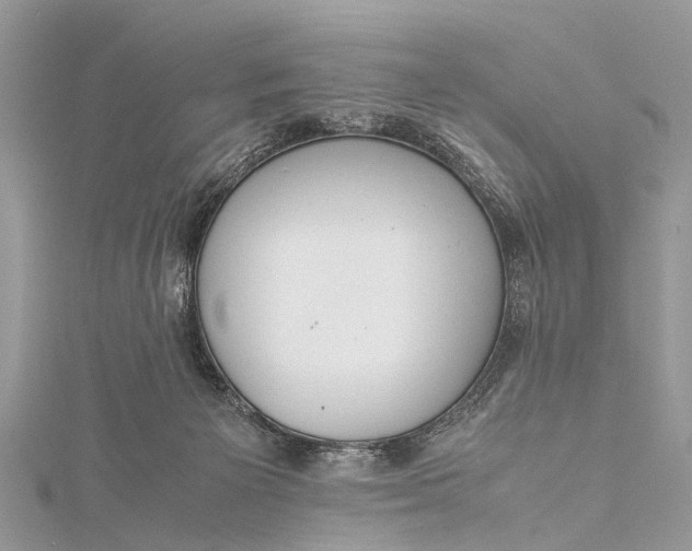 X0000115500125200911201626