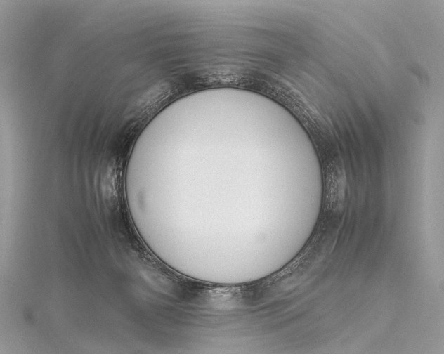 X0000115500126200911201626