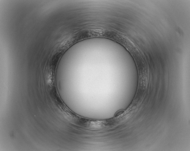 X0000115500134200911201626
