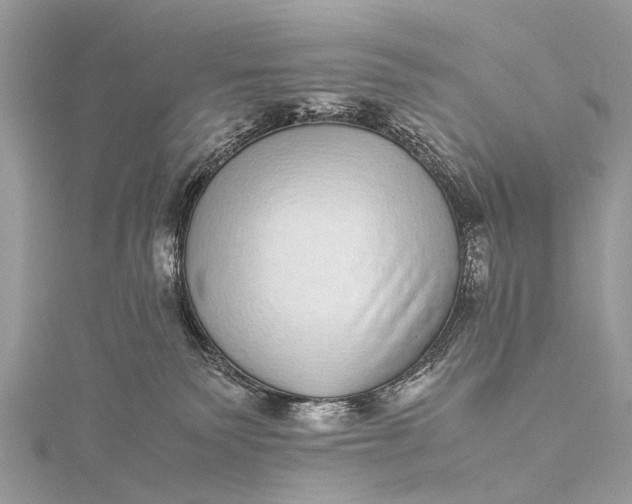 X0000115500135200911201626