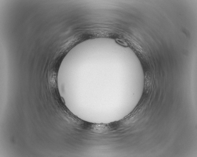 X0000115500141200911201626