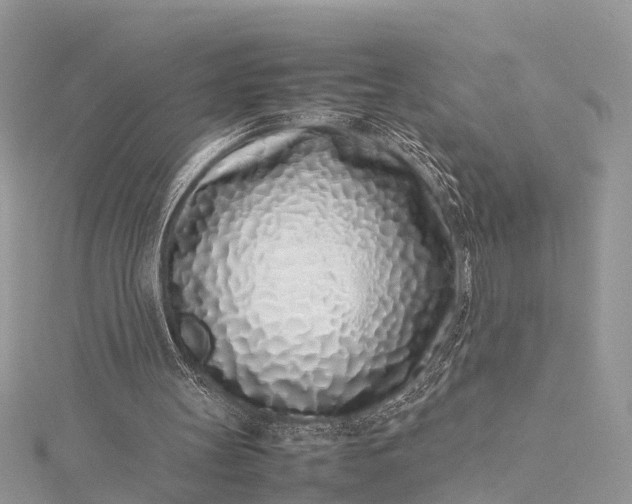X0000115500147200911201626