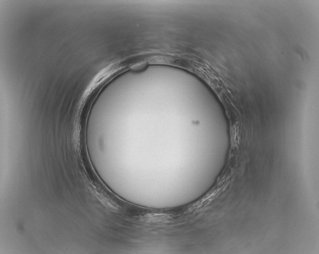 X0000115500150200911201626