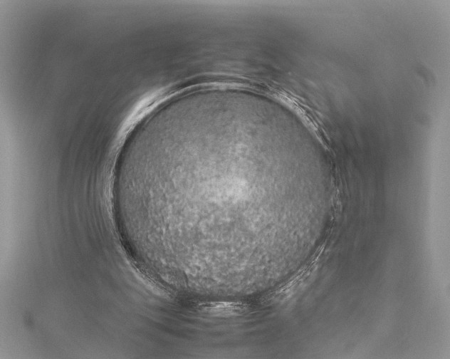 X0000115500151200911201626