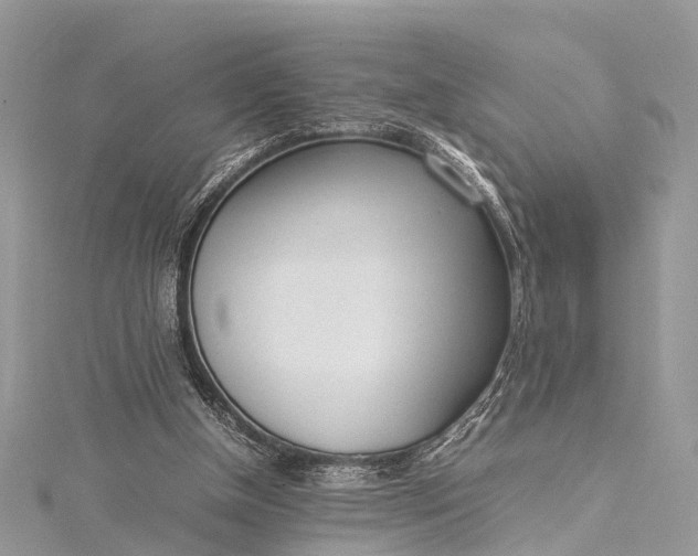 X0000115500154200911201626