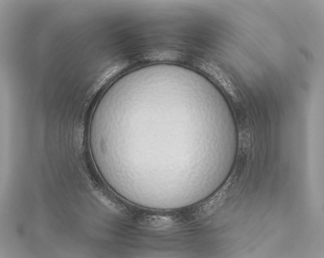 X0000115500159200911201626