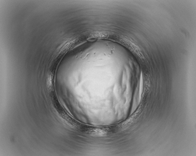X0000115500166200911201626