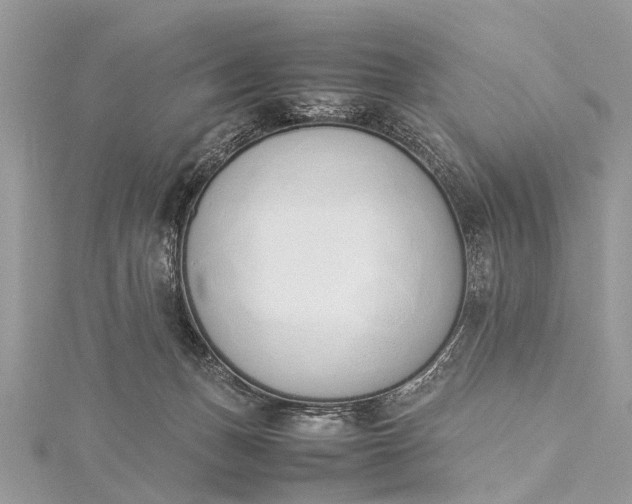 X0000115500175200911201626